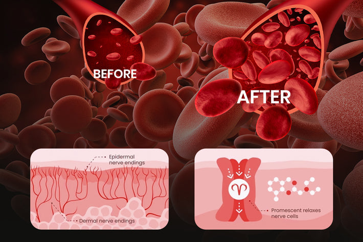 Oveallgo® NanoLipo HardX Performance Ampoules Pro 6 Oveallgo® NanoLipo HardX Performance Ampoules Pro